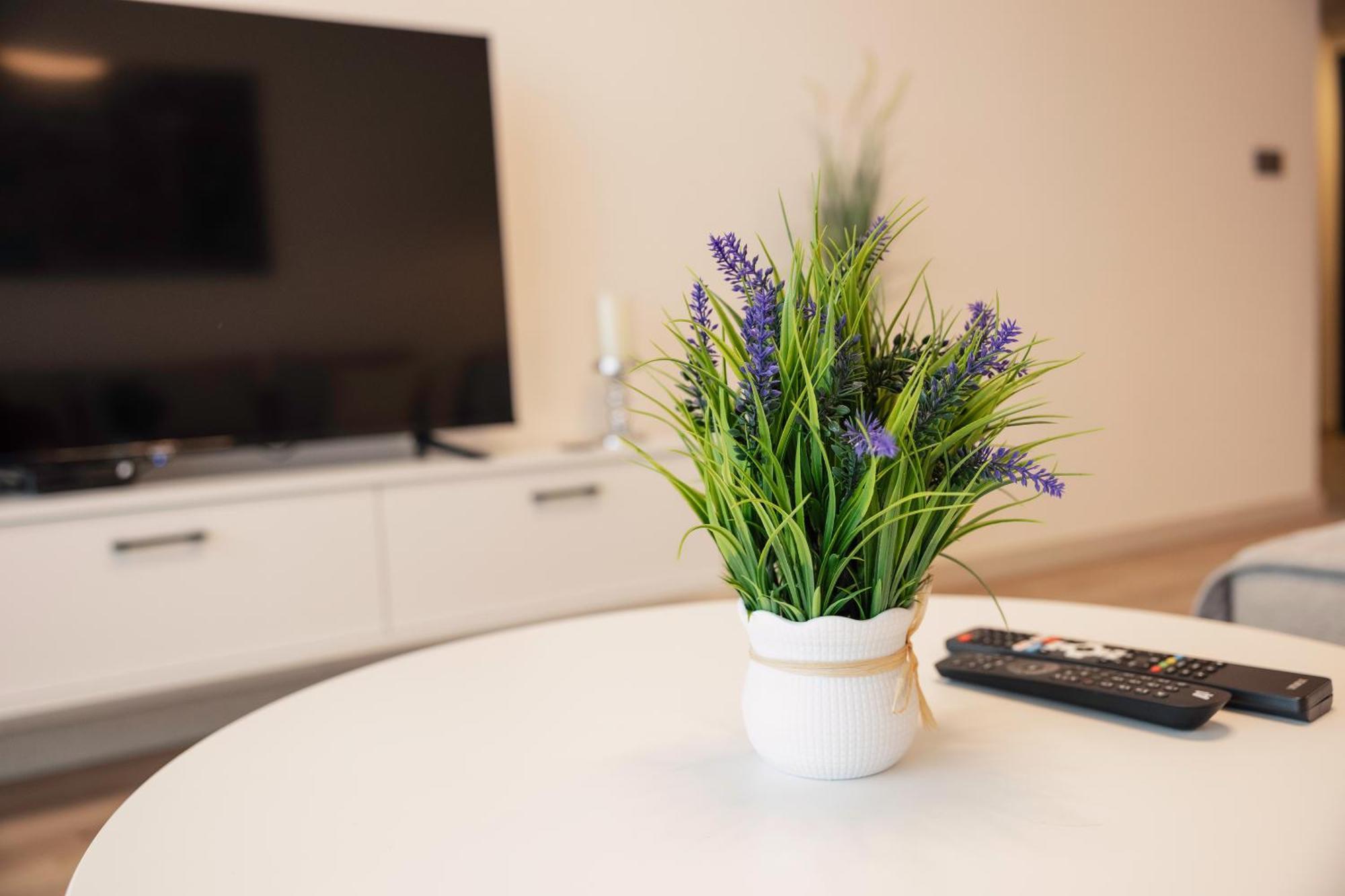 33Rd Floor Twin Apartments In Cevahir Sky City Complex With Pool, Spa, Fitness And Parking Included In Price Скопие Екстериор снимка
